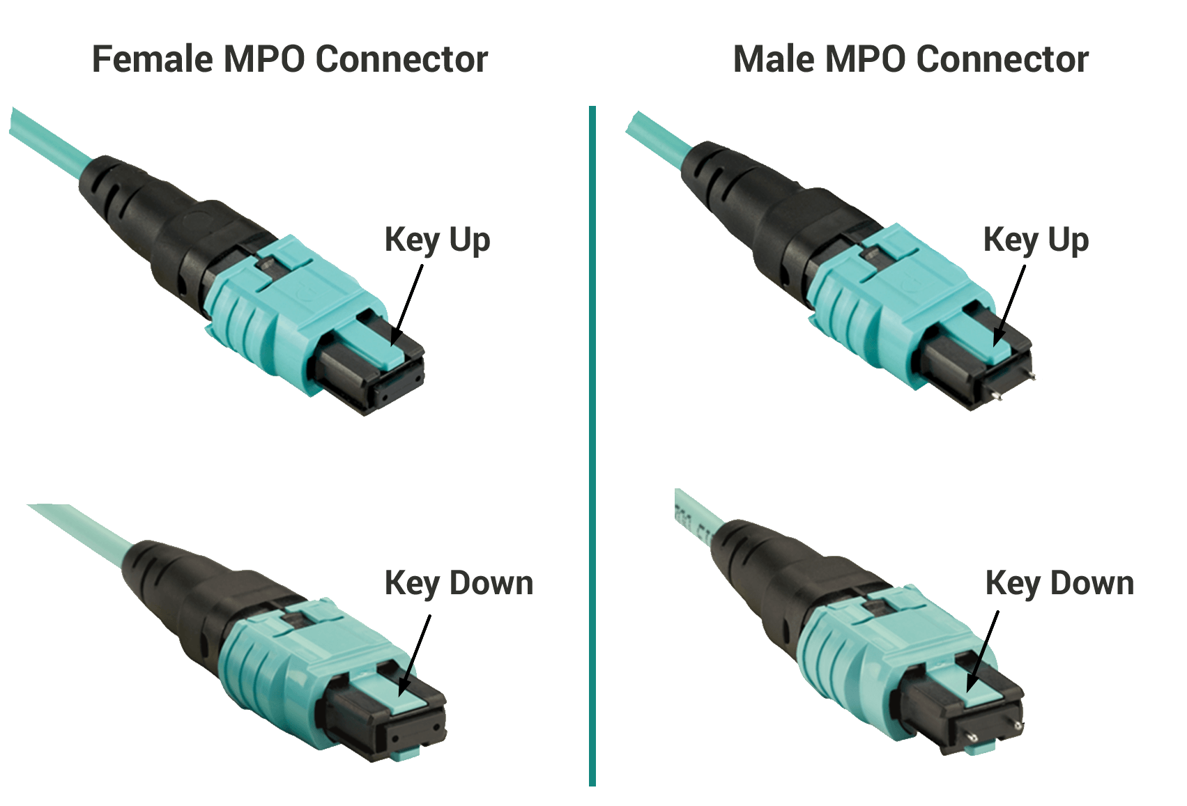 male and female MPO/MTP connecotrs