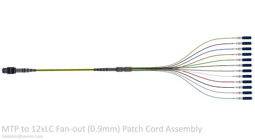 MTP to 12xLC Fan-out (0.9mm) Patch Cord Assembly