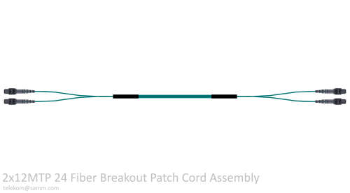 2x12MTP 24 Fiber Breakout Patch Cord Assembly