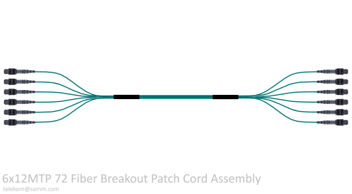 6x12MTP 72 Fiber Breakout Patch Cord Assembly