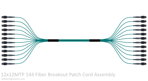 12x12MTP 144 Fiber Breakout Patch Cord Assembly