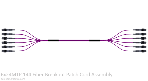 6x24MTP 144 Fiber Breakout Patch Cord Assembly
