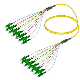 LC-LC | Single Mode - 12 Fibers - Fanout Patch Cord | 3.0/0.9mm 